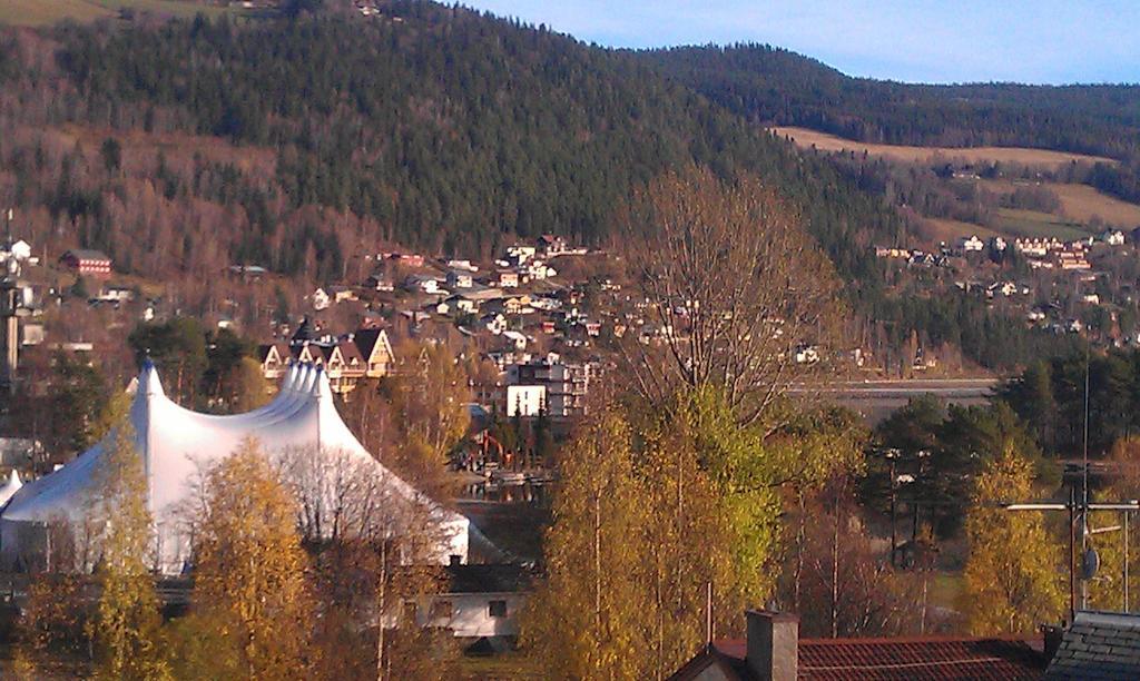 Valdres Naturlegvis Fagernes Luaran gambar