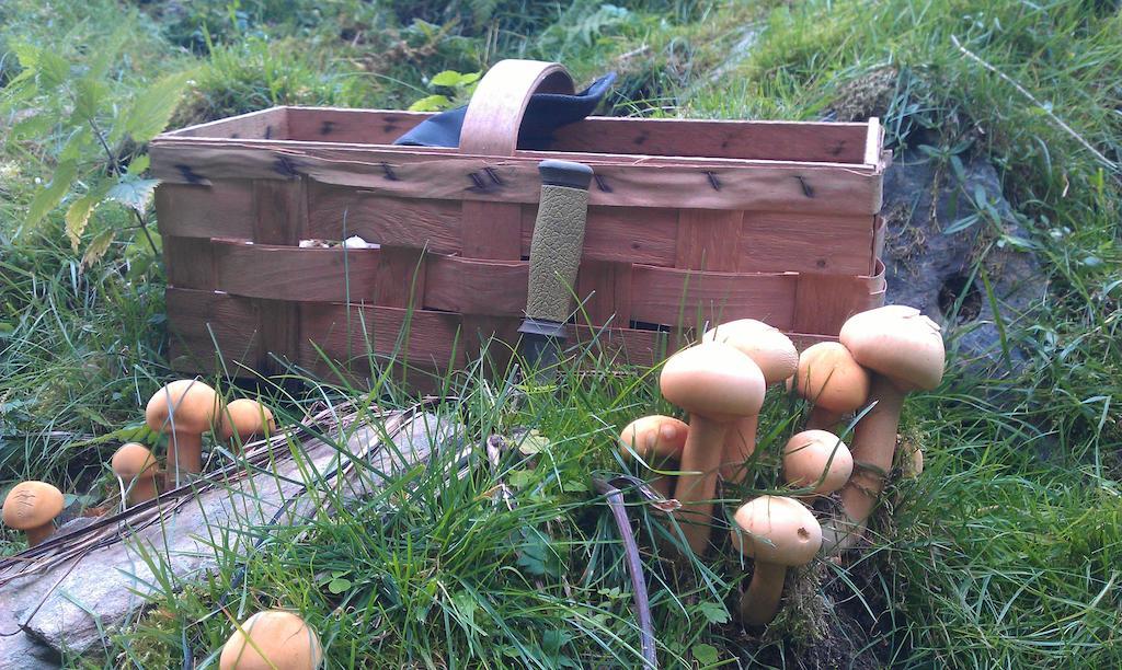 Valdres Naturlegvis Fagernes Luaran gambar